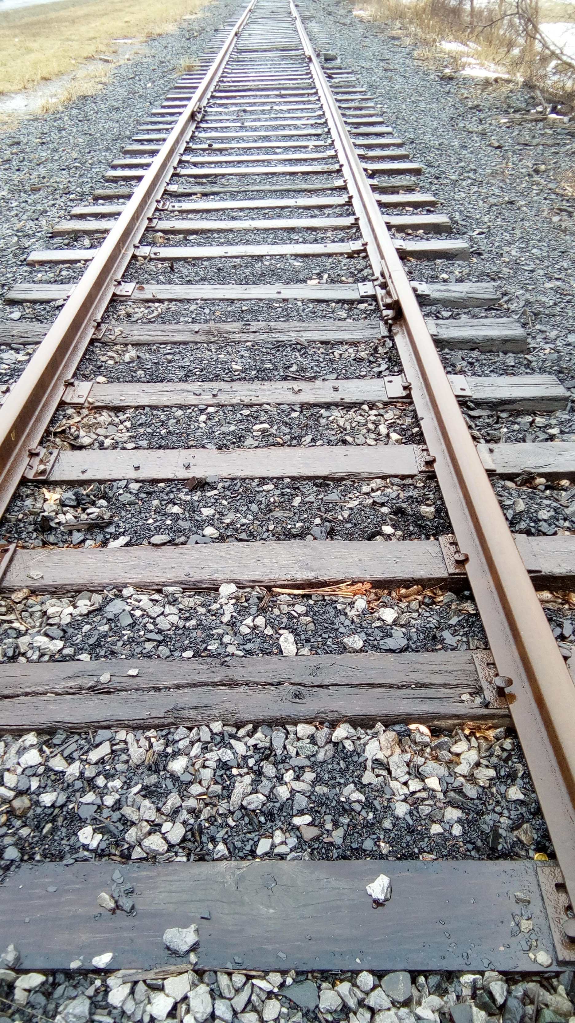 Picture of Train Tracks.jpg